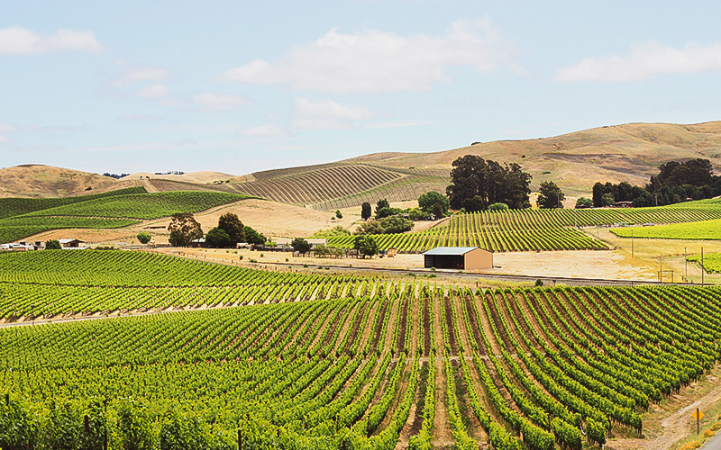 Napa Valley Outdoors