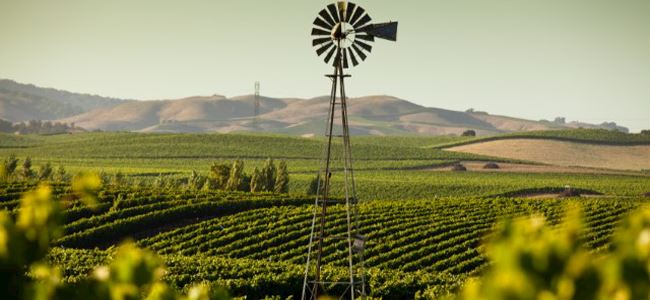 Escape to Wine Country 2