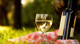 Calistoga Hotel Photos